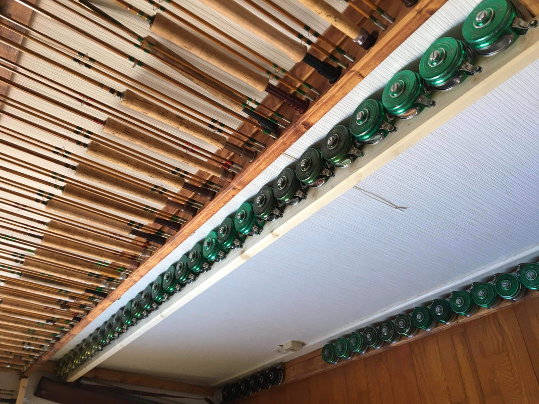 DBBBAEC5-8415-4F8B-9AB6-A236449F81D1