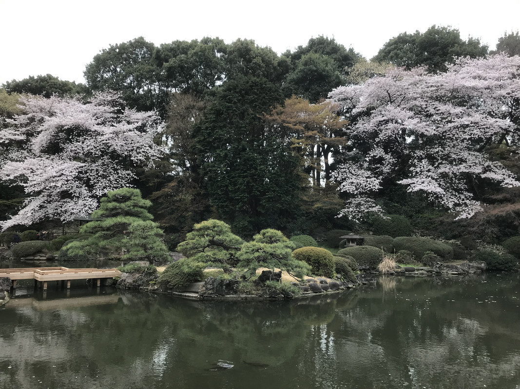 C5CC95FC-555B-42D6-BA59-61E492021136