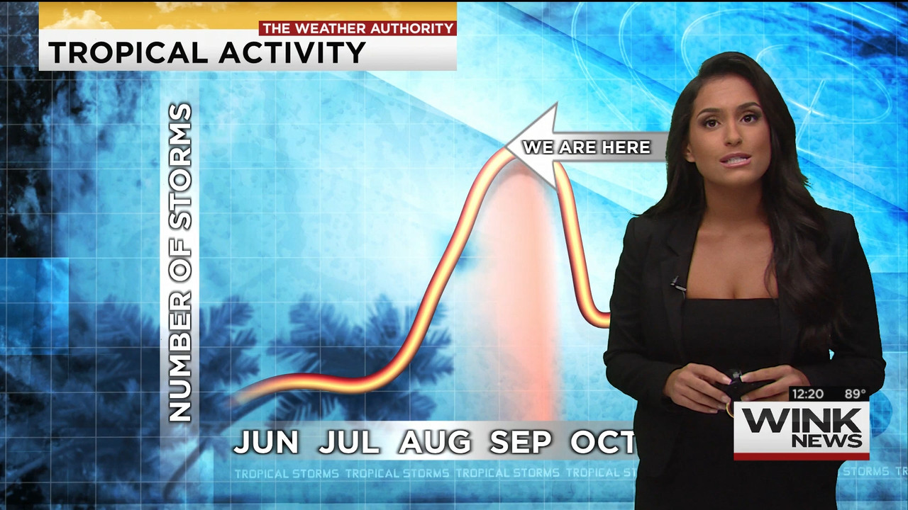 09.04 - 17.00.00 - The WINK Noon News. News..ts_snapshot_26.47.342