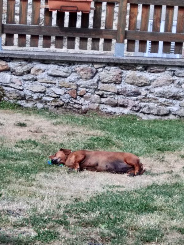 [Image: IMG-20200714-104816.jpg]