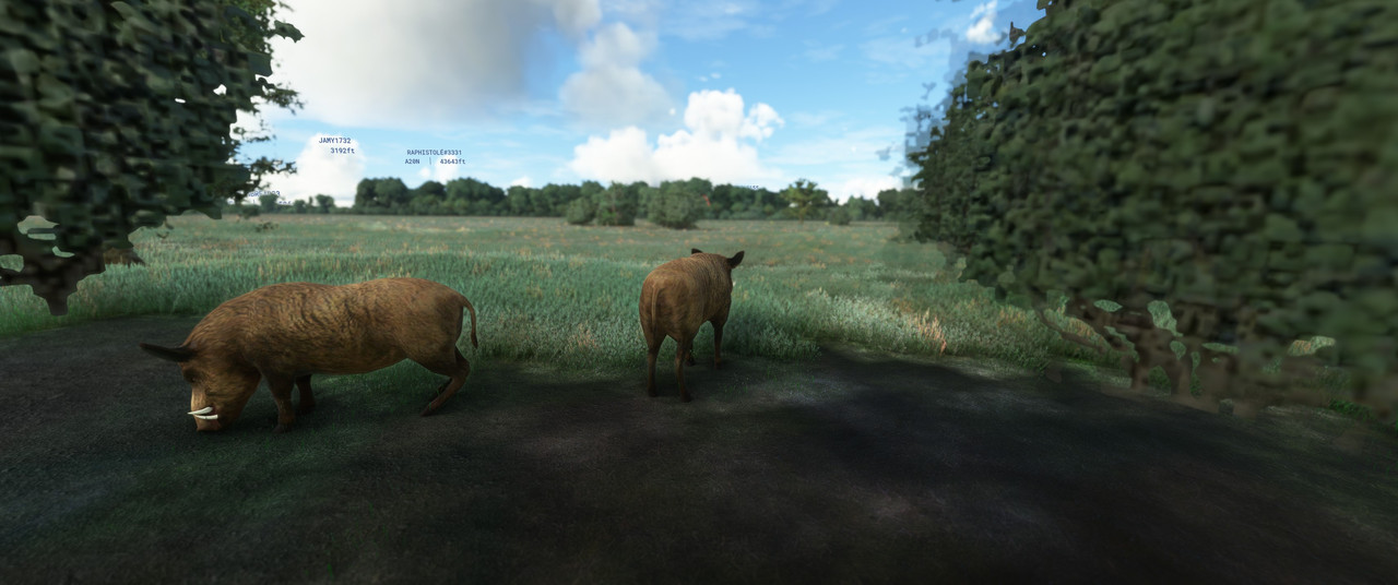 Capture d’écran 2023-06-27 171724