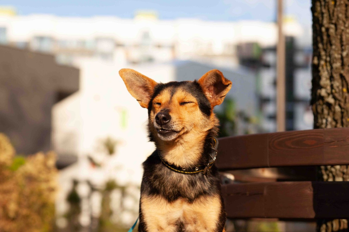 2A026869-6F9B-436D-80B0-BB1B20312C12