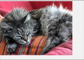 Capture d e cran 2026 04 21 a 17 21 19