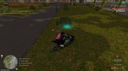 IMG-6633