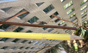 IMG-0324