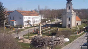 Kép