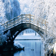 Clockwork-Xmas-Papers-2