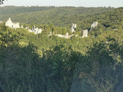 FB-IMG-1600243443879