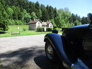 IMG-7574.jpg