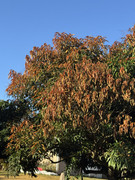 IMG-1782
