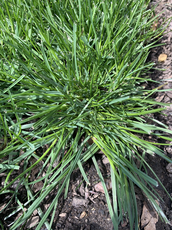 748092C2-849D-40EA-9863-0E4B302A0192