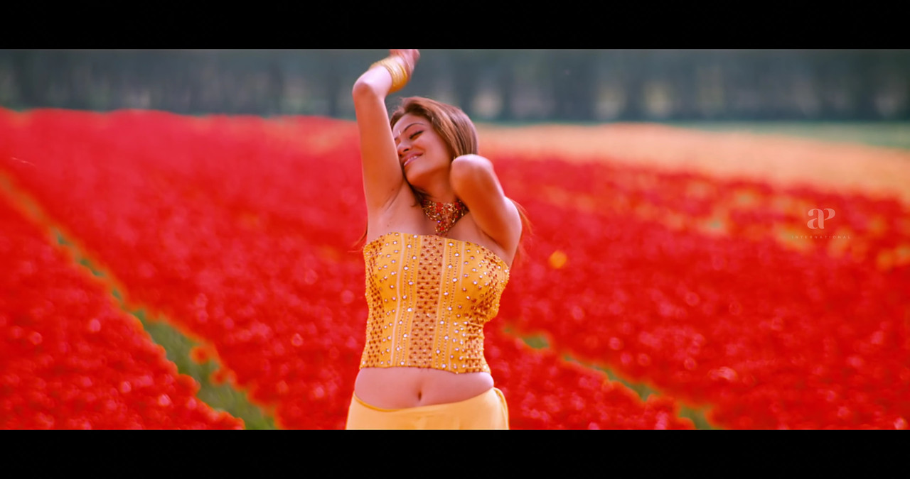 VideoCapture_20241122-200502