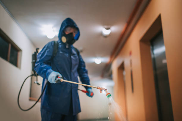 termite treatment Orlando