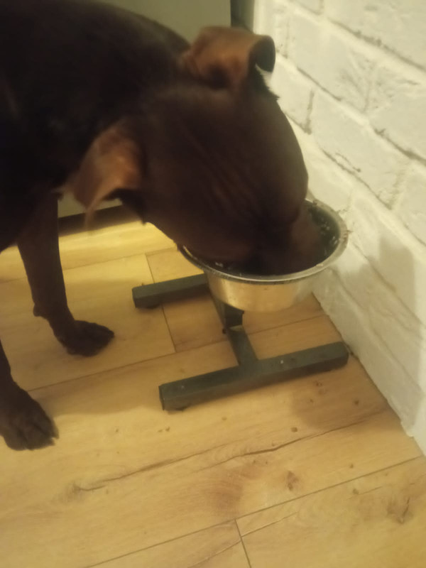 76017448-B560-48C9-9552-9E7384CC7BAB