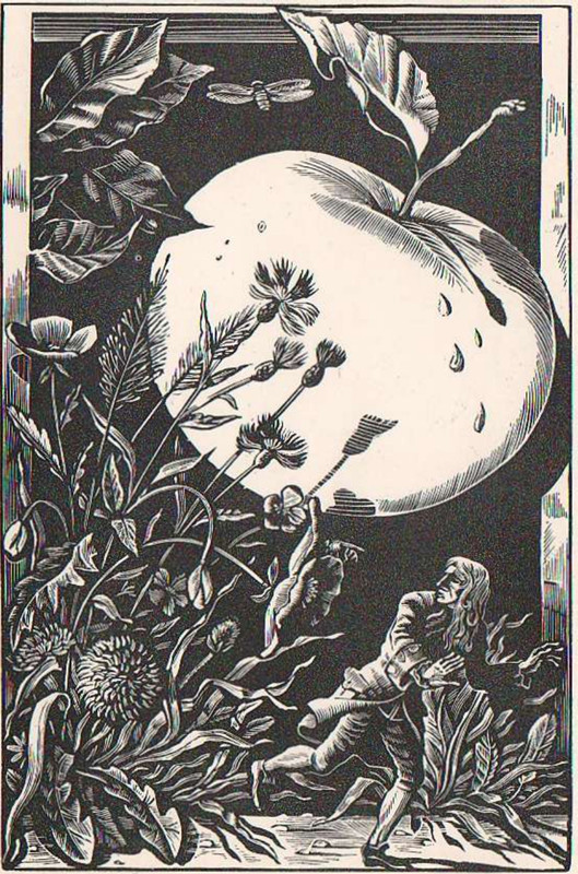 Harlamov-S-D-Svift-Putesestvia-Gullivera-1978-page-0022