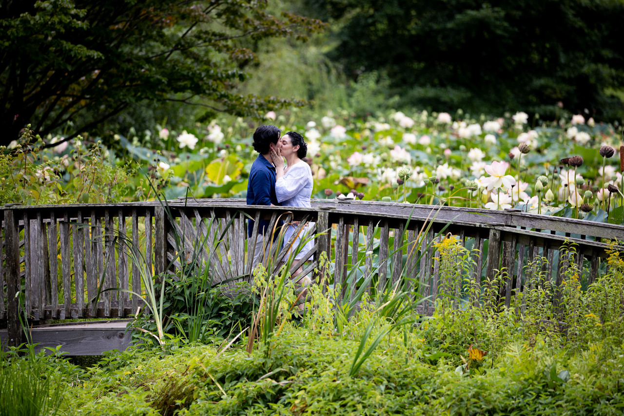 Live proposal photo and video coverage