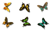 0-1c0c74-31658d46-orig