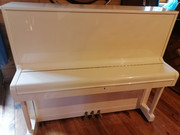 5f71f1a7-8267-11ef-9c8a-0b0b158238c9