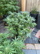 1A2D8D25-89DD-4A7F-81AD-D910FB7E94D6