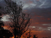 50.1.oncoming evening I