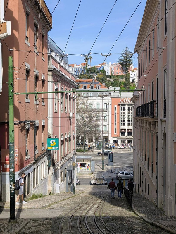 641732537 25532373269795636 2787175193245973012 n