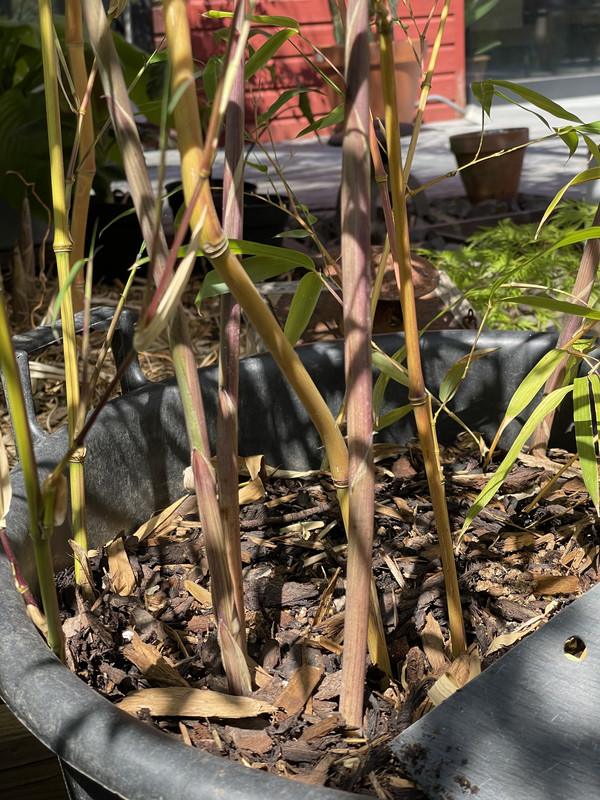 69126415-F7D2-484D-BEEB-21285B7CF332