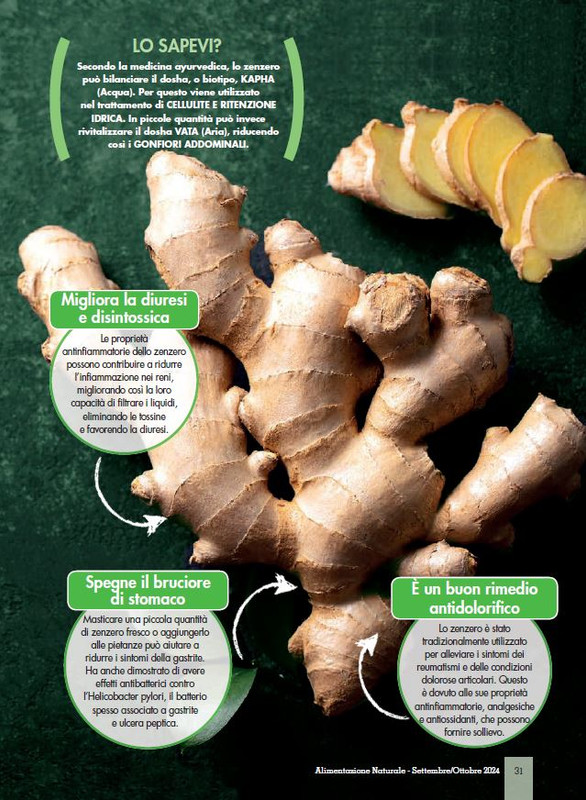 Alim Nat Set-Ott 2024 (6)