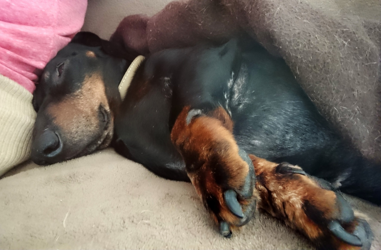 [Image: 20220407-145319.jpg]