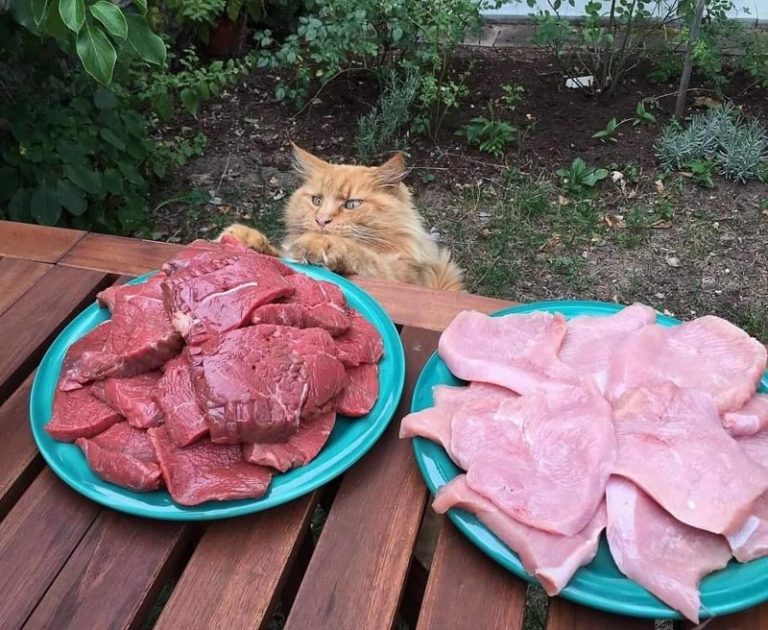 17 фото о том, как выглядит истинное счастье