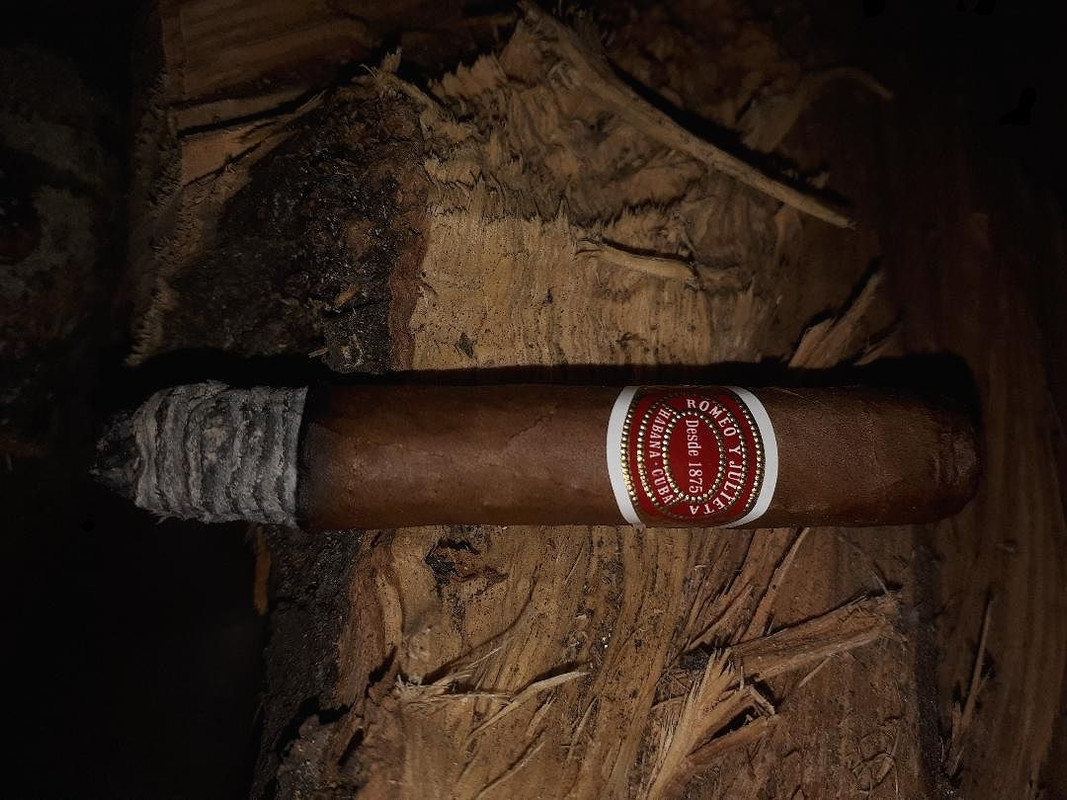 50998175593_cf6a6190ce_o