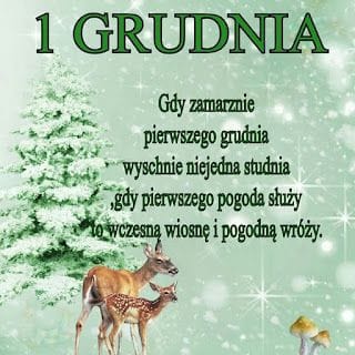 https://i.postimg.cc/t7Qn5gL3/407447533-24833549729561747-6799512760659653072-n.jpg