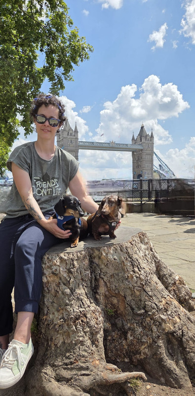 [Image: IMG-20250718-WA0007.jpg]