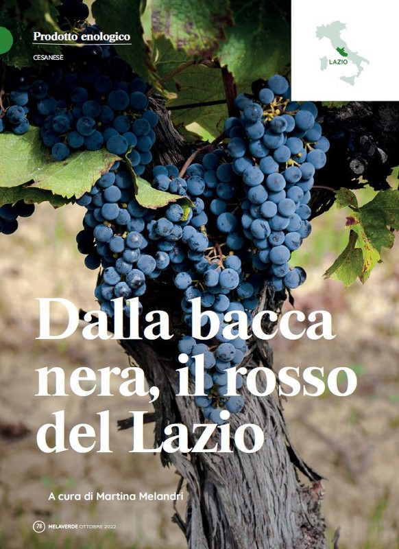 melaverde Ott 2022 (11)