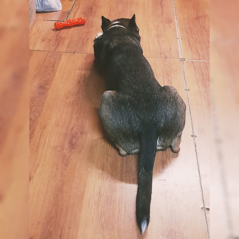 E6377324-0DC0-4AC3-A420-7F4A83D2926F