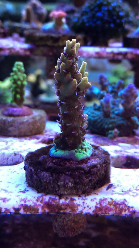 39A5518C-CD94-48E4-919A-4F0E58904FB0