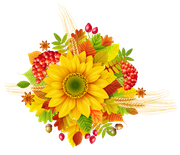TADD_elements_Shimmer_Fall_75