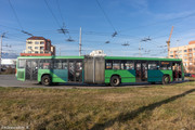 IMG-5038