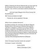 ilide info examen cetatenie pr 64b0fbd0c78af7f8cd4c5a971d640cc3 page 0018