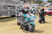 IMG-2505