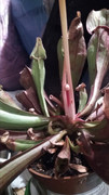 IMG-20190304-143034.jpg