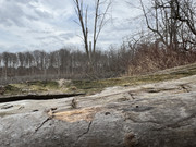 IMG-0972