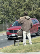 [Image: IMG-1072.jpg]