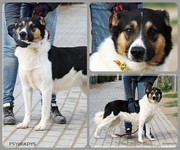 Be-Funky-collage-22.jpg&key=1c0f4e7feb46