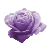 tumblr_8925071726c3f0bb9a012a215024f135_0564ba09_400