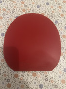 IMG-1911