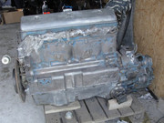 DSC04303.jpg