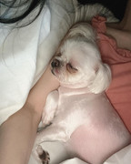 124657759_404355310600515_2838093745052445053_n