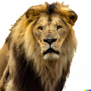 DALL-E-Photo-of-a-lion-White-background