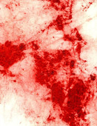 482d41df337cfab9d7d97fd34fa578ab