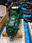 DSC07899c.jpg